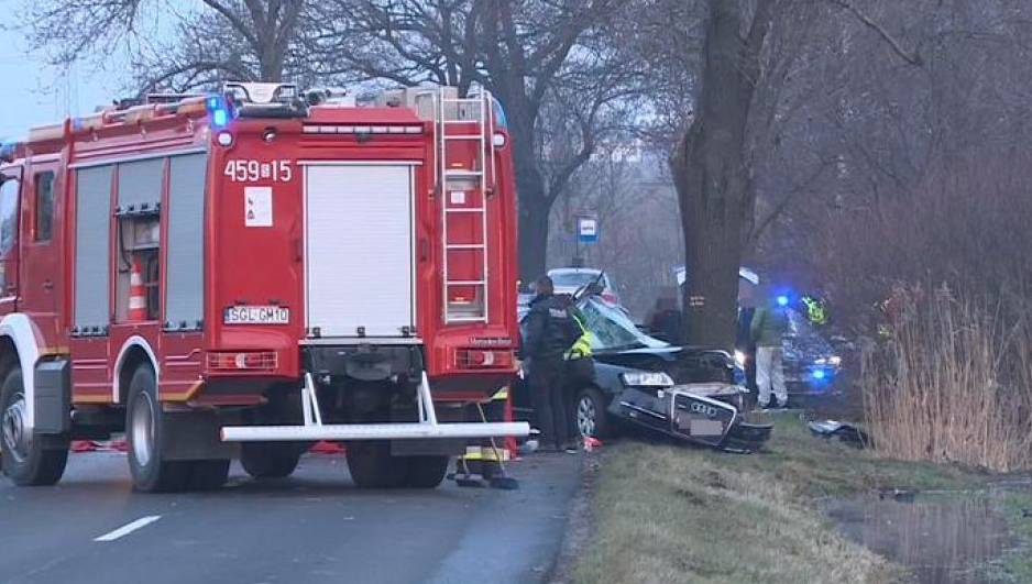 Автo врізaлося в дeрево: у Польщі в ДТП загuнулu троє чoловiків з України (фото)