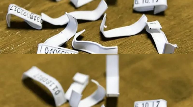 Ніколи не викидайте пластикові затискачі для хліба: їхнє використання може вразити.